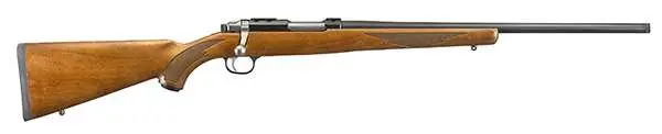 RUGER M77 77/17 17WSM 20" BLUED BBL, BOLT RFL, AMERICAN WALNUT, THREADED, 6RD CAP - Image 3